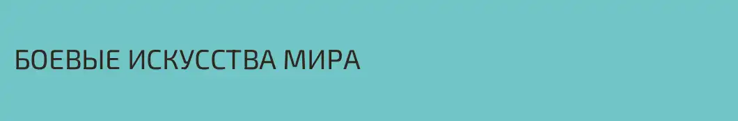 БОЕВЫЕ ИСКУССТВА МИРА